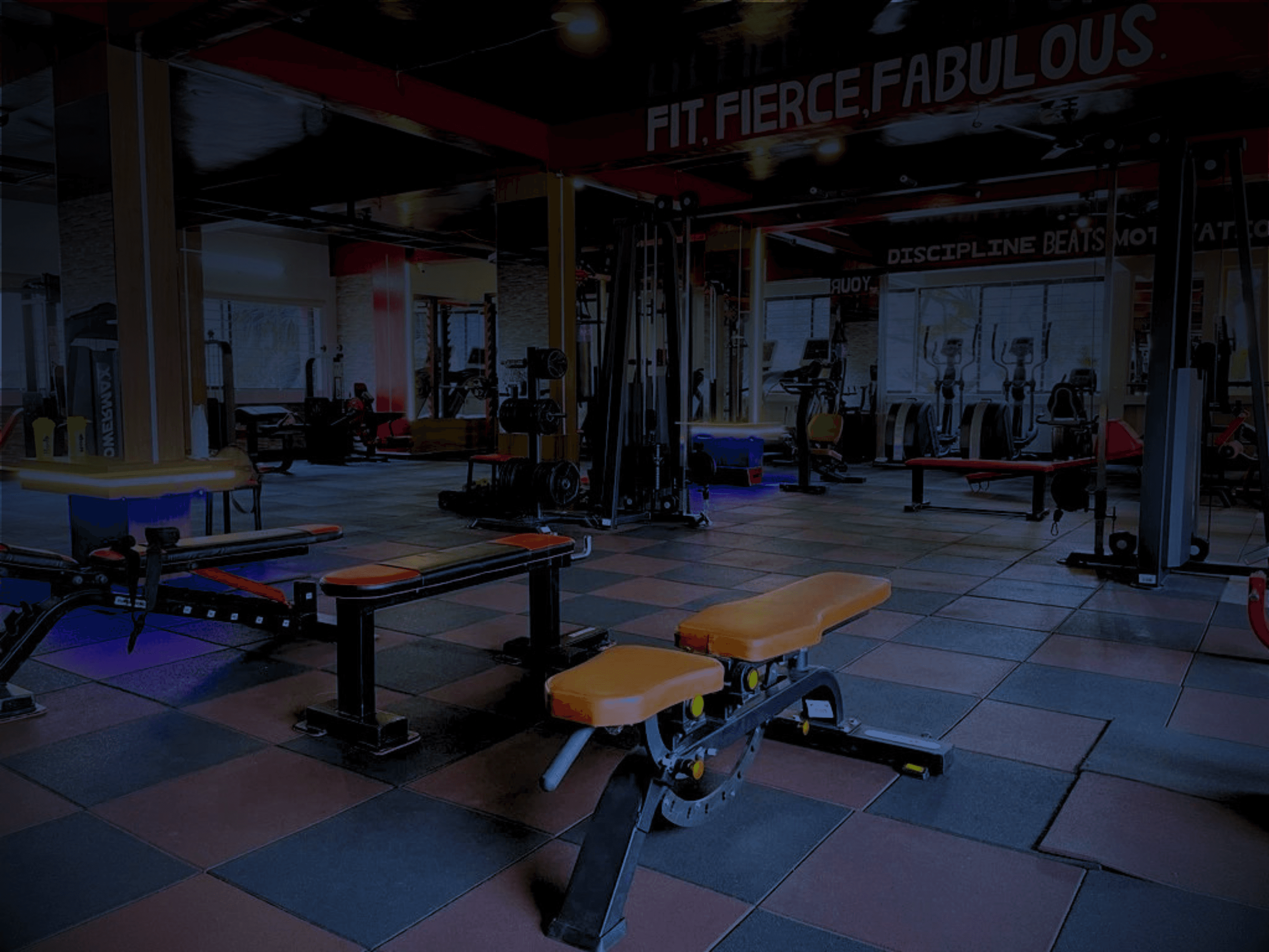 My Fitness First - Premium Gym
